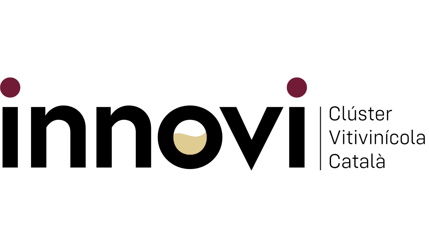 Logo nou oficial fons transparent